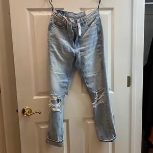 NWT AMERICAN EAGLE SIZE 0/ 25W REGULAR MOM JEAN
